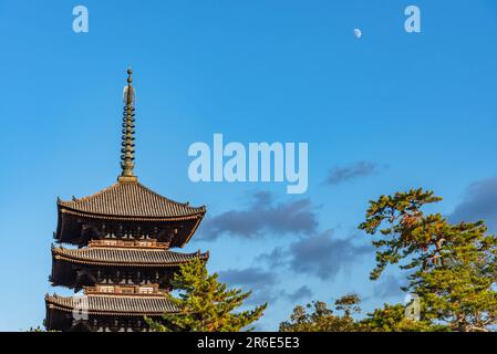 Five-storied pagoda inside the Kofuku-ji buddhist temple. one of the powerful Seven Great Temples in the city of Nara, Nara Prefecture, Japan Stock Photo