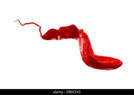Sleeping sickness. Computer illustration of a trypanosome (Trypanosoma brucei). This protozoan is the cause of sleeping sickness (African trypanosomia Stock Photo