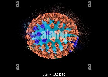 Destruction of bird flu virus. 3D illustration of an avian influenza H5N8 virus particle. Conceptual image for influenza treatment and prevention. Thi Stock Photo