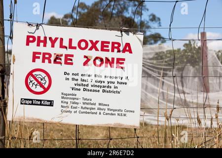 Grape vines in near Shepperton in Victoria covered up to protect them from birds. With a Phylloxera warning sign. Stock Photo