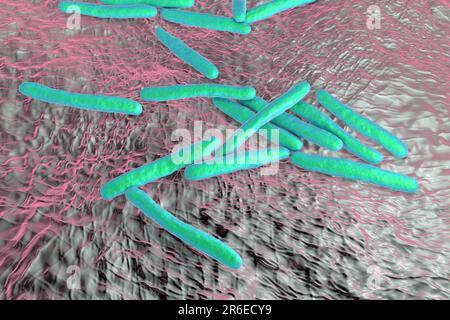 Tuberculosis bacteria. Computer artwork of Mycobacterium tuberculosis bacteria, the Gram- positive rod-shaped bacteria which cause the disease tubercu Stock Photo