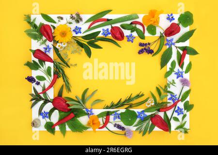 Herb spice and edible flower collection for food seasoning. Healthy organic food colourful composition with white frame on yellow background. Flat lay Stock Photo