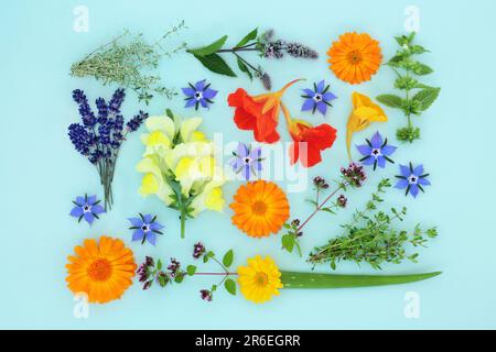 Summer herbs and flowers for natural aromatherapy plant based skincare beauty treatments. Can ease psoriasis, eczema, acne and wounds. Stock Photo