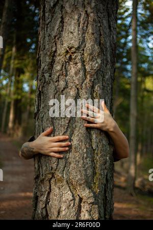 One young woman hugging tree with her arms. Concept of love for nature ...