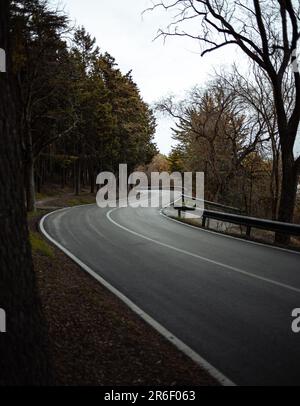 Empty road in the middle of the forest without cars on an autumn day. Minimalist concept of an empty road. Stock Photo