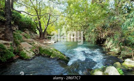 Israel, Upper Galilee, Hazbani River (AKA Snir River) a tributary of the Jordan river. Stock Photo
