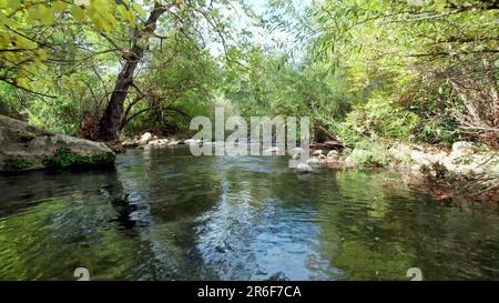 Israel, Upper Galilee, Hazbani River (AKA Snir River) a tributary of the Jordan river. Stock Photo