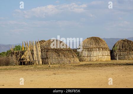 Members of the Arbore tribe photographed in the Omo valley, Ethiopia, Stock Photo