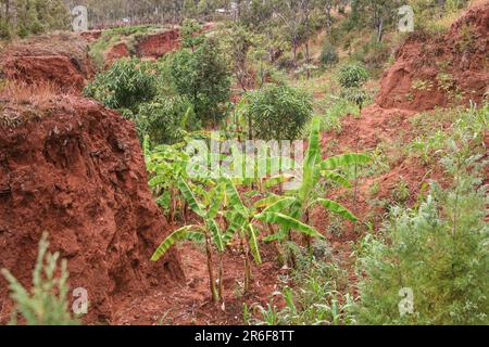 Sandstone rock formations at Gesergiyo, near Konso, Ethiopia, Africa ...