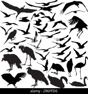 Set of vector silhouettes of flying birds Stock Vector
