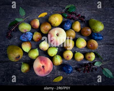 A colorful array of ripe apples and pears arranged in a bunch on top of a rustic wooden table Stock Photo