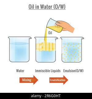 An illustration of immiscible liquids oil and water mixed together in ...