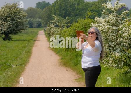 Mature female traveler standing on footpath taking a picture with her cell phone, long gray hair, sunglasses, leafy trees in misty background, Dutch n Stock Photo