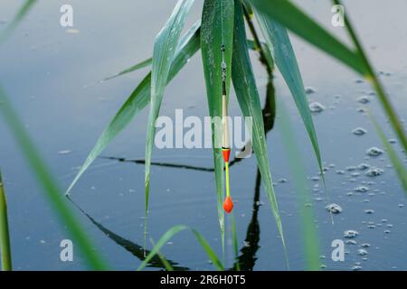 Fishing float in the air over the air. Fishing bobber at the lake in the forest. Stock Photo