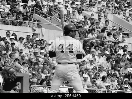 Former New York Yankees Star Reggie Jackson appears at NYY Steak restaurant  at Seminole Coconut Creek Casino Coconut Creek Stock Photo - Alamy