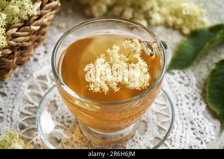 A cup of herbal tea with fresh black elder flowers collected in spring Stock Photo