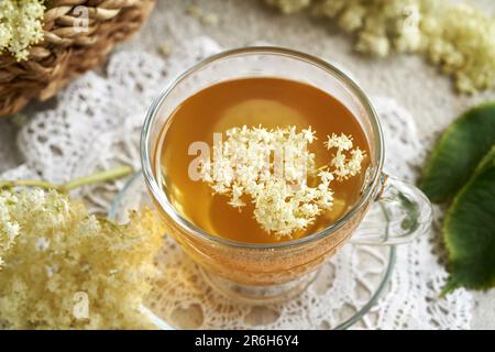Glass cup of herbal tea with fresh elder flowers harvested in spring Stock Photo