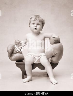 1930s CUTE CHARMING BLONDE TODDLER BOY WEARING UNDER PANTS AND TOO BIG ADULT SIZED BOXING GLOVES SITTING ON A BENCH - b10413 HAR001 HARS ATHLETE LIFESTYLE TOO WINNING STUDIO SHOT HOME LIFE COPY SPACE FULL-LENGTH CHARACTER MALES ATHLETIC B&W EYE CONTACT HUMOROUS FIGHTER ADVENTURE AND COMICAL OCCUPATIONS CONCEPTUAL COMEDY BABY ACTORS BABY BOY PLEASANT AGREEABLE CHARMING JUVENILES LOVABLE PLEASING ADORABLE APPEALING BLACK AND WHITE CAUCASIAN ETHNICITY HAR001 OLD FASHIONED TOO BIG Stock Photo