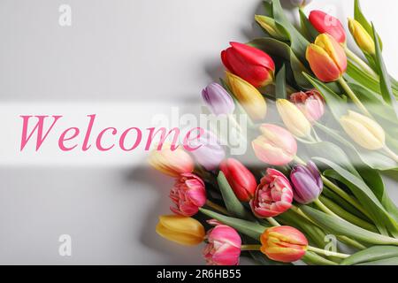 Welcome card. Beautiful tulip flowers and word on white background, top view Stock Photo