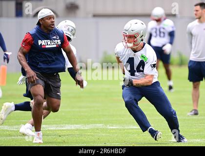 Foxborough, USA. 09th June, 2023. June 9, 2023: New England Patriots tight  end Matt Sokol (87) works out at the team's OTA's in Foxborough,  Massachusetts. Eric Canha/CSM/Sipa USA(Credit Image: © Eric Canha/Cal