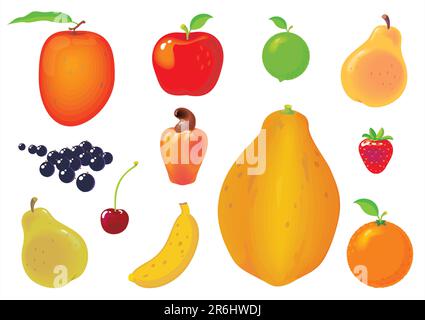 Twelve types of fruits isolated on white. No gradient vector. Very easy to customize colors and to create compositions. Stock Vector