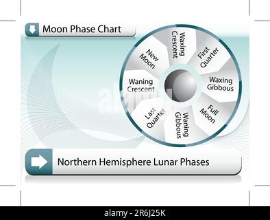 An image of a Moon Phase Chart. Stock Vector