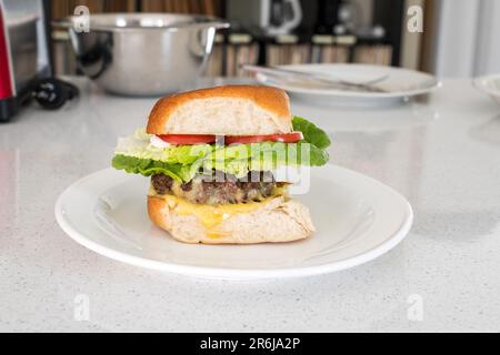 Homemade organic grassfed beef burger with cheese, tomato and lettuce on a plate on kitchen bench. Stock Photo
