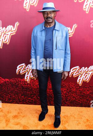 HOLLYWOOD, LOS ANGELES, CALIFORNIA, USA - JUNE 09: American actor Dennis Haysbert arrives at the Los Angeles Special Screening Of Searchlight Pictures' 'Flamin' Hot' held at the Hollywood American Legion Post 43 at Hollywood Legion Theater on June 9, 2023 in Hollywood, Los Angeles, California, United States. (Photo by Xavier Collin/Image Press Agency) Stock Photo