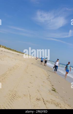 People walking along the shoreline in sunshine under blue sky in summer, Studland Beach, Dorset, UK Stock Photo