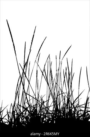 Grass / vector / silhouette. Ideally for your use Stock Vector