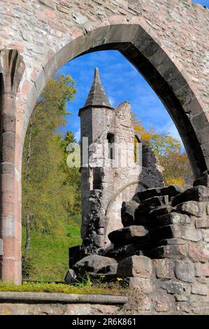 Black Forest near All Saints in autumn, colourful autumn forest, monastery ruins Stock Photo