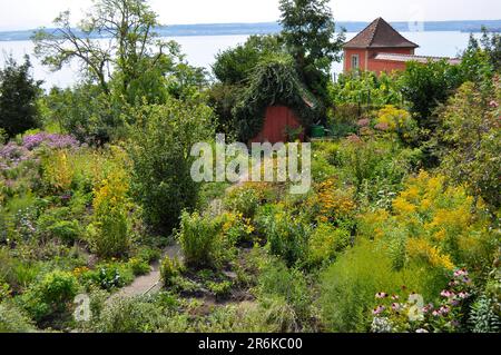 On Lake Constance near Meersburg, cottage garden with perennials Stock Photo