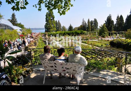 On Lake Constance, Mainau Island, elderly couple on park bench, by the rose garden Stock Photo