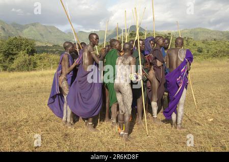 Donga stick fighting ceremony, Surma tribe, Tulgit, Omo Valley, Ethiopia/ Surma Stock Photo