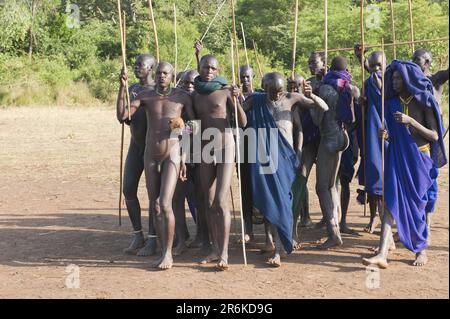 Donga stick fighting ceremony, Surma tribe, Tulgit, Omo Valley, Ethiopia/ Surma Stock Photo