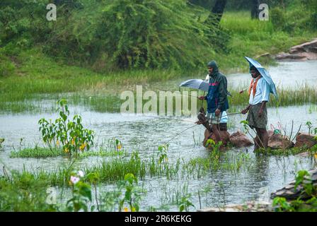 Village people angling during a rainy day, Tamil Nadu, South India, India, Asia Stock Photo