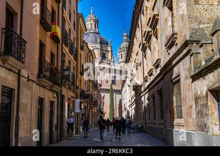 Old town, Salamanca, UNESCO World Heritage Site, Castile and Leon, Spain, Europe Stock Photo