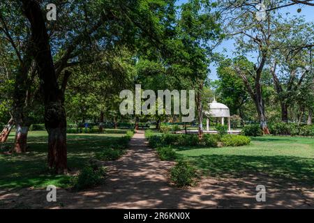 Law Garden