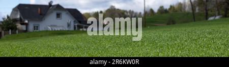 4x1 banner for website and social networks. Lawn in front of a beautiful house on an alpine mountain slope Stock Photo
