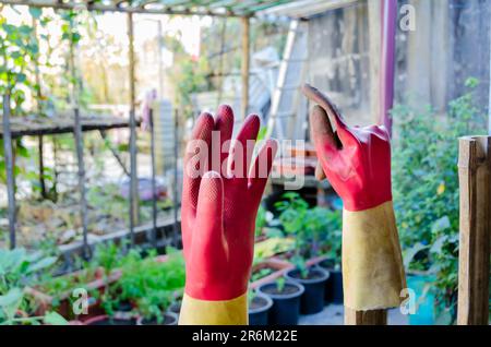 An image of a pair of rubber gloves used to protect the hands while home gardening. Stock Photo