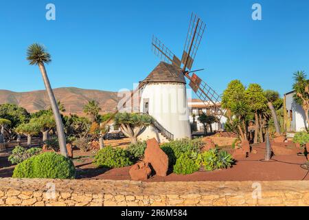 Open-air museum Centro de Artesania Molino de Antigua, Antigua, Fuerteventura, Canary Islands, Spain, Atlantic, Europe Stock Photo