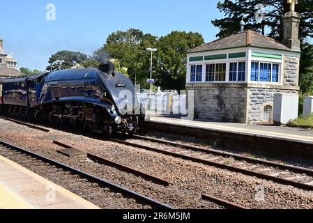 LNER Class A4 Pacific No 60007 Sir Nigel Gresley passing through Torquay station with the outward leg of the English Riviera Express on 3rd June 2023. Stock Photo