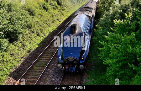 LNER Class A4 Pacific No 60007 Sir Nigel Gresley leaving Paignton with the return leg of the English Riviera Express on 3rd June 2023. Stock Photo