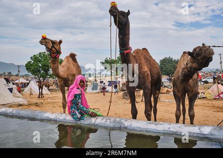 Indian men and camels at Pushkar camel fair (Pushkar Mela) Stock Photo