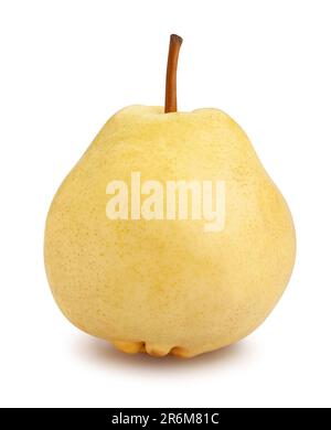 chinese nashi pear path isolated on white Stock Photo