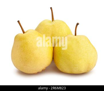 chinese nashi pear path isolated on white Stock Photo
