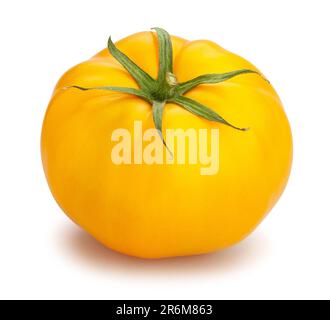 yellow tomato path isolated on white Stock Photo