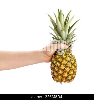 pineapple in hand path isolated on white Stock Photo