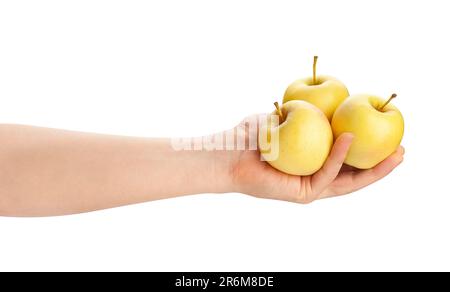 yellow apples in hand path isolated on white Stock Photo