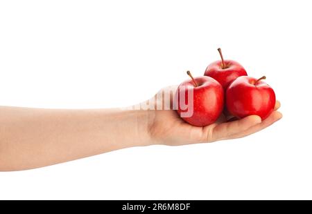 red apples in hand path isolated on white Stock Photo